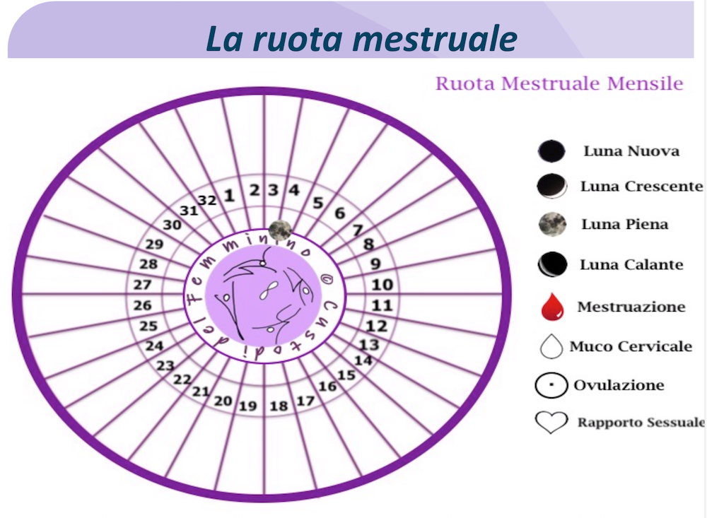 ruota mestruale